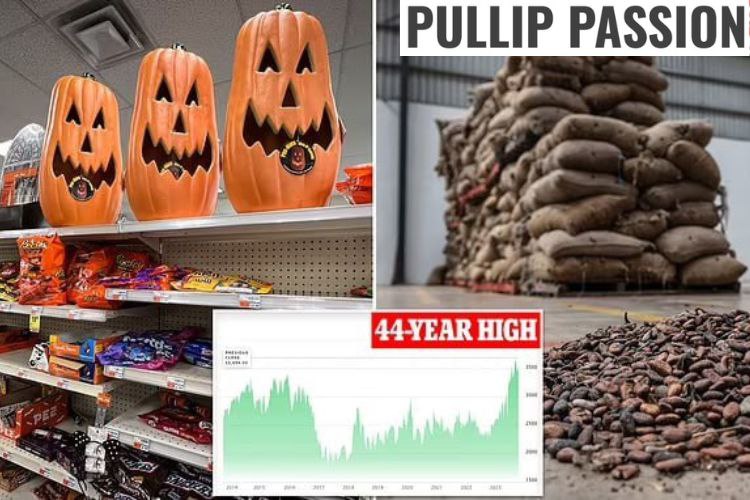 photo_2025-12-08_06-55-05