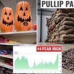 photo_2025-12-08_06-55-05