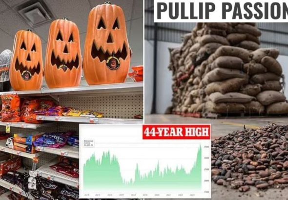 photo_2025-12-08_06-55-05